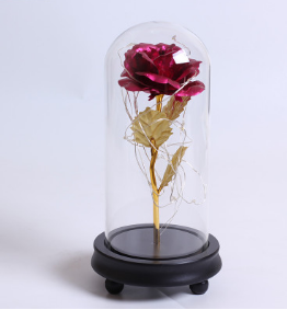 Zauberhafte Rose