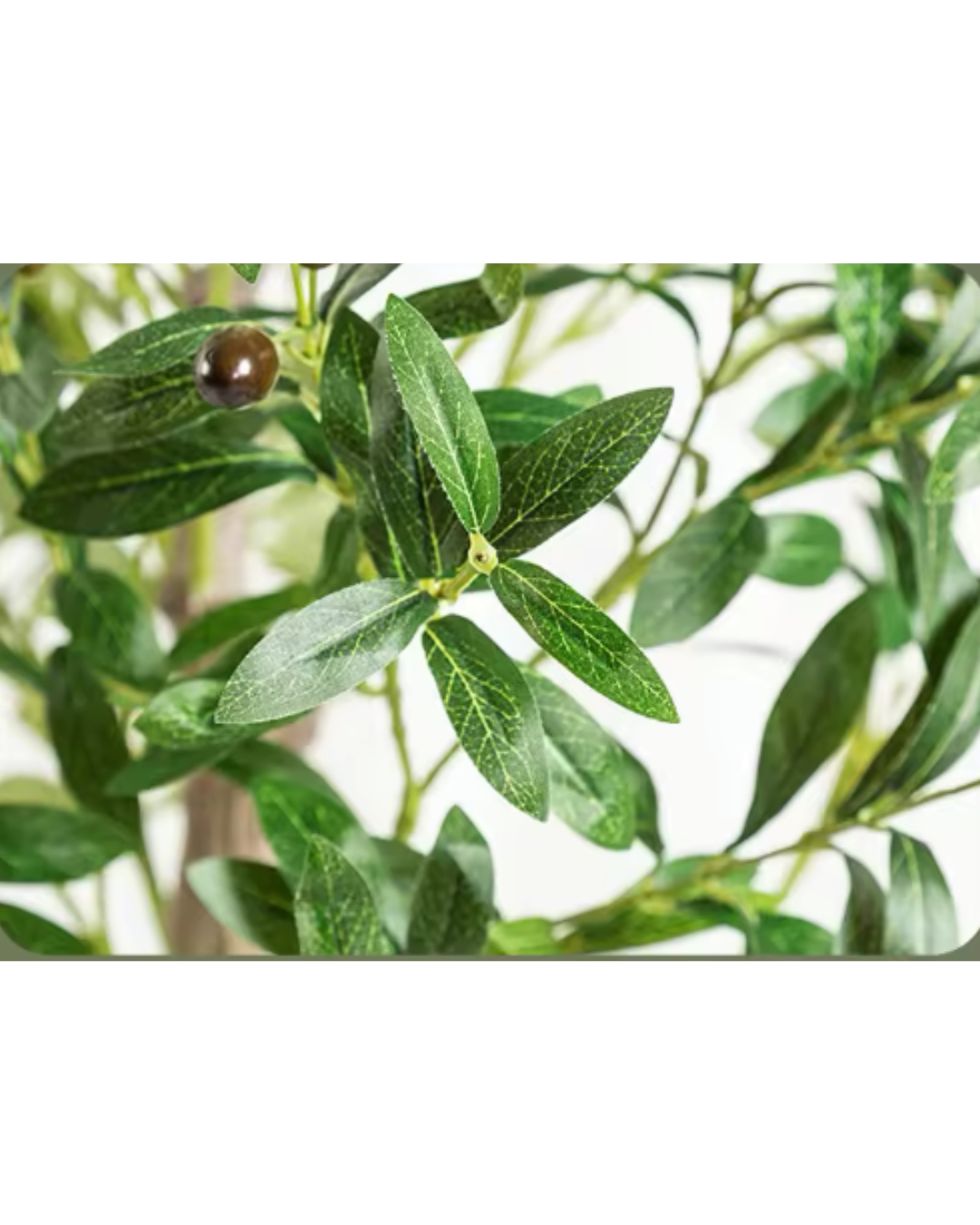 Topfpflanze, künstlich, drinnen/draußen Olivenbaum