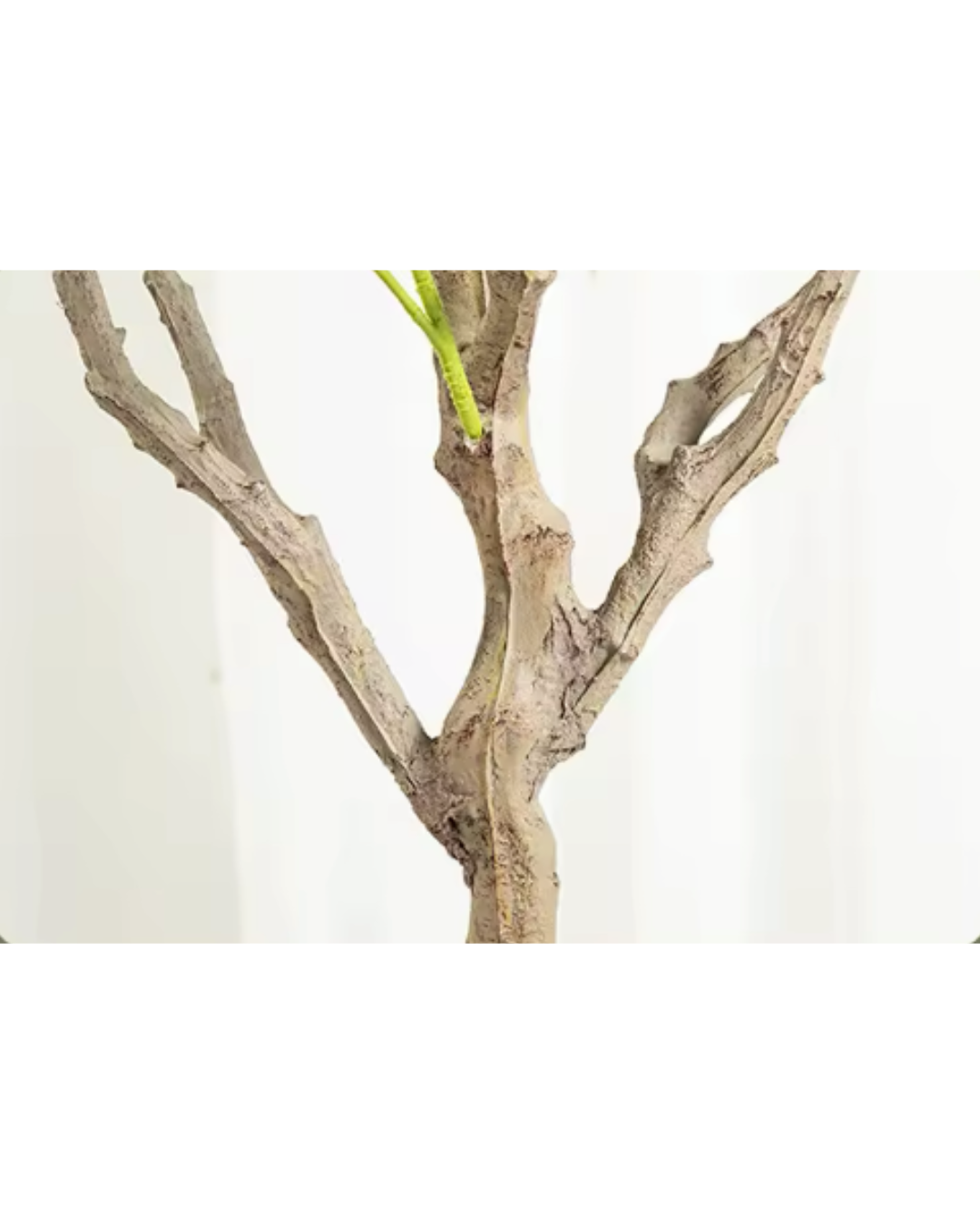 Topfpflanze, künstlich, drinnen/draußen Olivenbaum