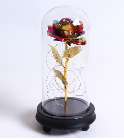 Zauberhafte Rose
